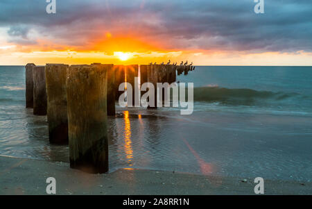 Old pier pilings at Naples Beach. Stock Photo