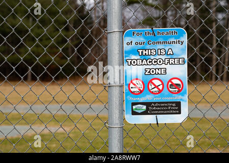 tobacco effects on respiratory system How does smoking affect your anatomy and physiology?