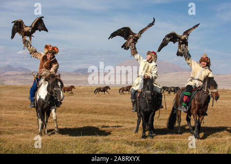 A group of traditional kazakh eagle hunters holding their golden eagles on horseback with a heerd of horses running in the background. Ulgii, Mongolia Stock Photo