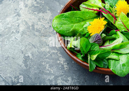 Salad with greens and dandelions.Spring salad with spinach and dandelion. Stock Photo