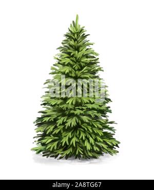 spruce ,christmas tree, art illustration painted with watercolors isolated on white background. Stock Photo