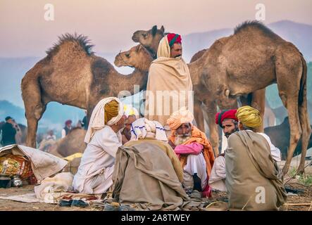 A group of Rajasthani camel herders sitting in their temporary desert camp at dawn, during the Pushkar Camel Fair in Rajasthan, India. Stock Photo