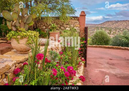 Pretty desert gardening, with vibrant pink bougainvillea and potted succulents creating a colorful ornamental garden in rural Morocco. Stock Photo