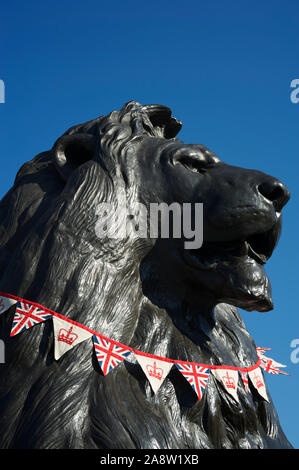 Heroic close-up of Trafalgar Square lion in London, UK, installed in 1867, with British Union Jack flag bunting under bright blue sky Stock Photo
