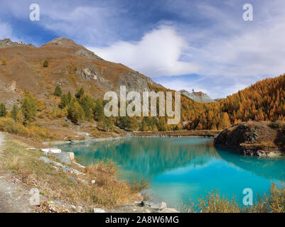 Moosjisee Lake with turquoise water and autumn colored Larch forest in Zermatt. Seen on 5 lake hike. Stock Photo