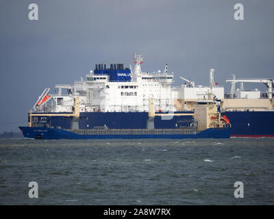 Sheerness, Kent, UK. 11th November, 2019.  UK Weather: a cold start to the week in Sheerness, Kent with some sunny spells. LNG Tanker Nikolay Yevgenov departs after depositing liquefied natural gas at the National Grid's LNG facility on the Isle of Grain, passing general cargo ship HC Melina (foreground).  Credit: James Bell/Alamy Live News Stock Photo