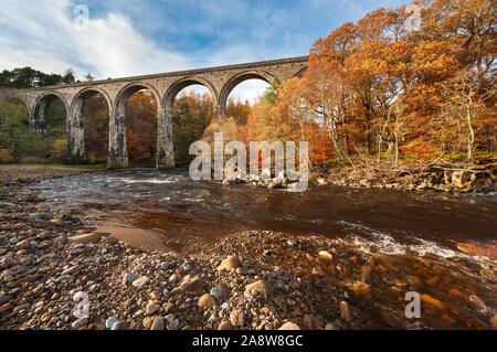 Vibrant Autumn woodland colour where Lambley Viaduct carrying the  South Tyne Trail crosses the river South Tyne in Northumberland Stock Photo