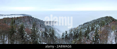 Black Forest in Wintertime - Panorama Stock Photo