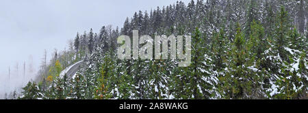 Black Forest in Wintertime - Panorama Stock Photo