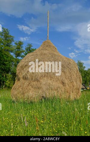 Heuschober, Lübbenau, Brandenburg, Deutschland Stock Photo