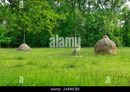 Heuschober, Lübbenau, Brandenburg, Deutschland Stock Photo