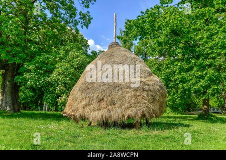 Heuschober, Lübbenau, Brandenburg, Deutschland Stock Photo