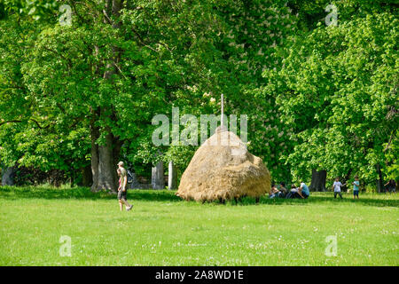 Heuschober, Lübbenau, Brandenburg, Deutschland Stock Photo