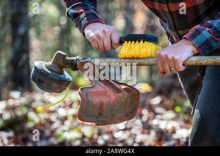 Woman's hands cleaning weed eater machine using brush Stock Photo