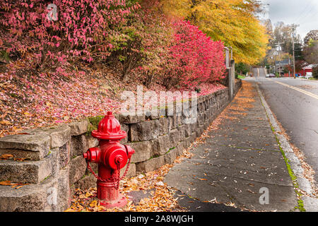 A fire hydrant beside a rock wall with fall color. Stock Photo