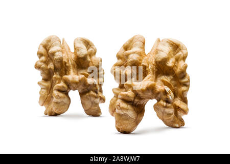 two walnuts without shell on white background Stock Photo