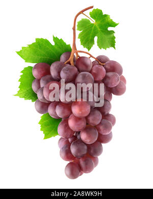 Isolated grapes. Bunch of red grapes on a branch isolated on white background with clipping path Stock Photo