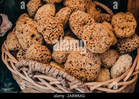 Many sea sponge in a wicker basket in the store Stock Photo