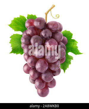 Isolated grapes. Hanging cluster of red grapes isolated on white background with clipping path Stock Photo