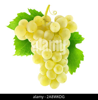Isolated grapes. Hanging bunch of white grapes isolated on white background with clipping path Stock Photo