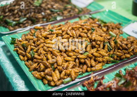 Deep fried silk worms selling at the Bangkok night market. Fried insects is one of the famous snack in Thailand. Stock Photo