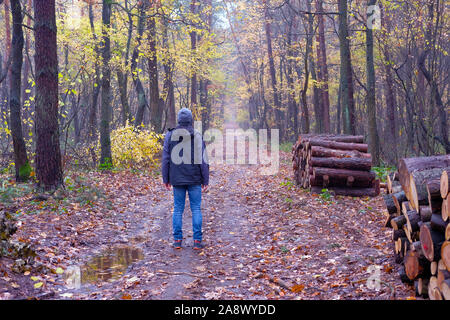 man walking in forest in November, in autumn. Stock Photo