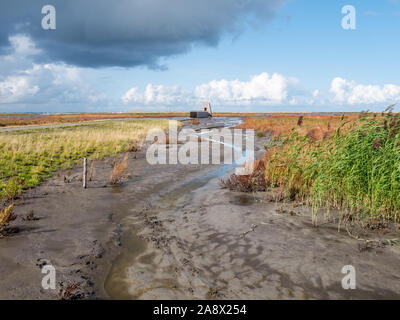 Bird hide and marshes on manmade artificial island Marker Wadden, Markermeer, Netherlands Stock Photo