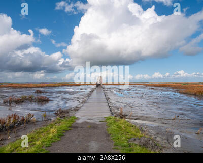 Boardwalk path leading to bird hide on island of Marker Wadden in Markermeer, Netherlands Stock Photo