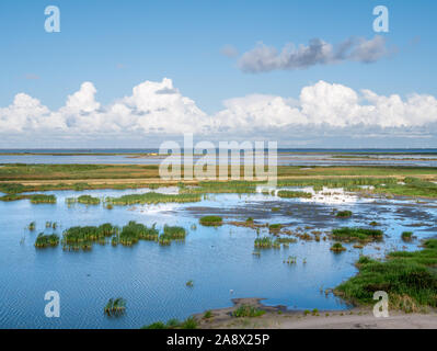 Panorama of marshes on manmade artificial island of Marker Wadden, Markermeer, Netherlands Stock Photo