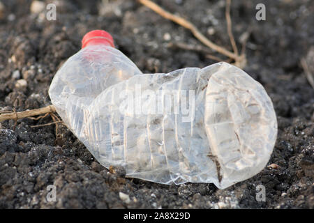 Environmental pollution: An empty plastic bottle of water, left as trash over the ground Stock Photo