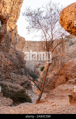 Impression of Sesriem Canyon, in the Hardap region of Namibia, during sunset. Stock Photo