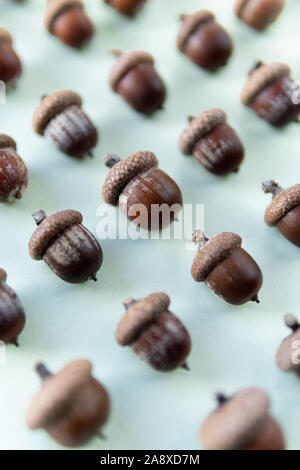 Pattern of oak tree acorns on light green background, shallow depth of field Stock Photo