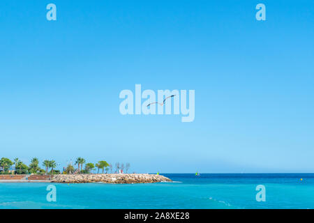 A lone seagull flies over the turquoise aqua colored water of the Mediterranean sea along the French Riviera at the town of Menton, France. Stock Photo