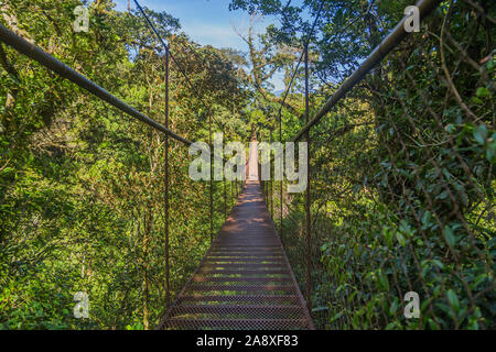 old hanging bridge in the jungle of Panama Stock Photo