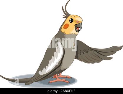 Cartoon smiling cockatiel pointing with its wing. Vector illustration Stock Vector