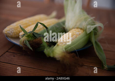 Corn on the cobs husks in view Stock Photo