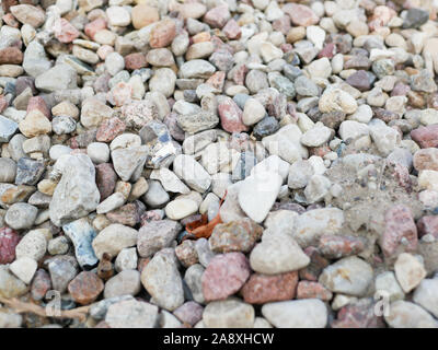 Pebbles closeup. High quality close up photo of various pebbles. On a sunny day. dry stone Stock Photo