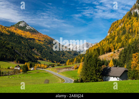 Valley scene with fall foliage color near the village of Tweng, Austria, Europe. Stock Photo