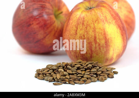 Apples and dried apple grains Stock Photo