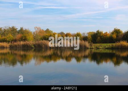 Lake shoreline reflecting symmetric in the water with cloudy sky Stock Photo