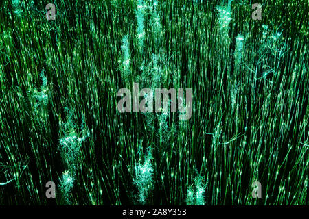 abstract background - grass glowing in the dark with magical green light Stock Photo