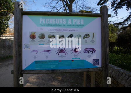 Information Sign for finding seafood, Ile de Ré, France Stock Photo