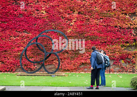 Picture dated November 1st 2019 shows Cambridge students walking past an autumnal show of Boston Ivy at Churchill College on a cold damp Friday afternoon.High winds and rain are forecast for the weekend. Stock Photo