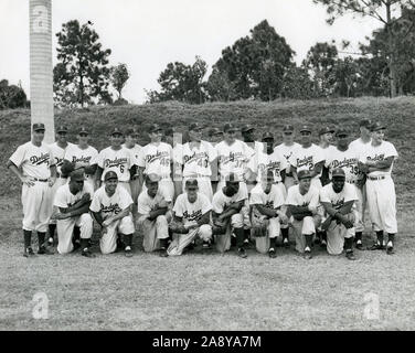 Vintage black and white team photo of the Brooklyn Dodgers at their spring training site in Vero Beach, Florida circa 1950s. Stock Photo