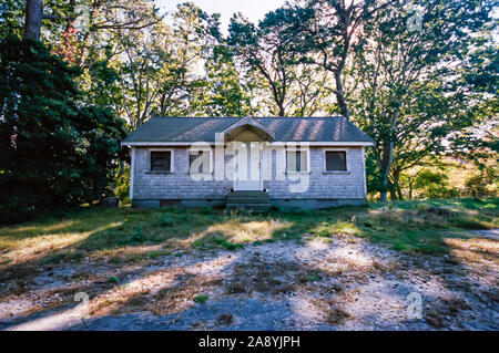 A Boarded Up Shack in the Woods Stock Photo