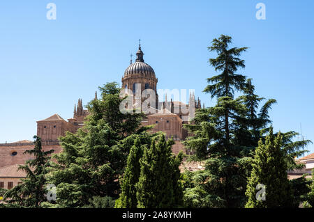 Exterior view of the dome and carvings on the roof of the old Cathedral in Salamanca Stock Photo