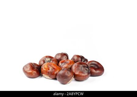 Pile of dried chestnuts on white background. Close-up view Stock Photo
