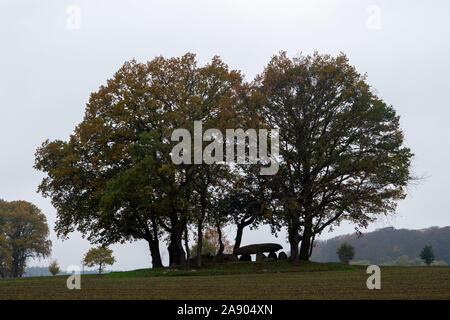 07 November 2019, Saxony-Anhalt, Stöckheim: Oaks with leaves discoloured in autumn surround a large stone grave on a field. In the future, the Megalith Route Altmark is to lead past the grave and attract tourists to the northwestern Altmark. The density of the stone blocks, also called Hünengrab, is particularly high in the Altmark district of Salzwedel. Photo: Klaus-Dietmar Gabbert/dpa-Zentralbild/ZB Stock Photo