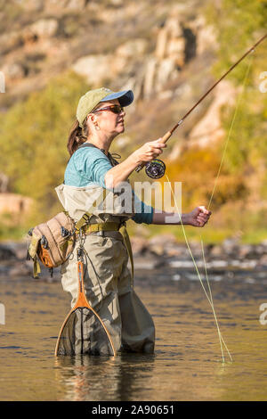 A woman casts her fly rod and reel while fishing on a sunny fall afternoon in Northern Colorado. Stock Photo