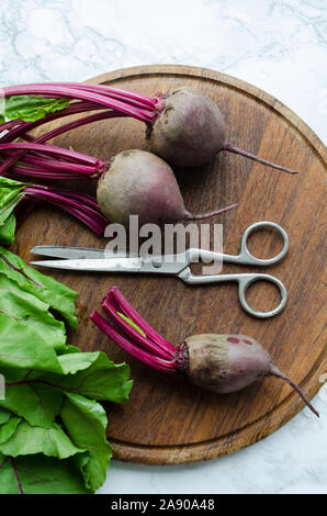 Process of preparing beetroot for cooking. Bunch of homegrown organic young beets with green leaves on the table. Fresh harvested beetroots on white m Stock Photo